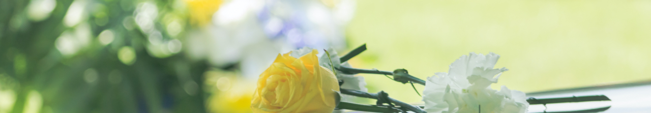 Yellow and white flowers resting on a coffin