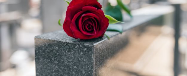 Single red rose resting on a grey marble gravestone