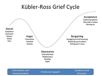 Kubler Ross Grief Cycle graph