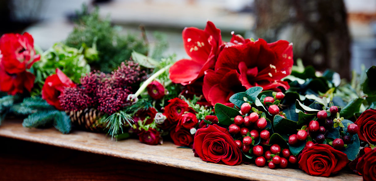 Christmas flowers with red berries